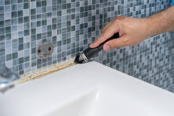 Best Residential Mold Remediation in Massanetta Springs, VA